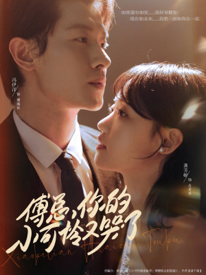 傅总你的小可怜又哭了(80集) 傅总你的小可怜又哭了(80集)好看短剧抢先看