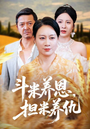 斗米养恩担米养仇（50集）排行榜前十短剧