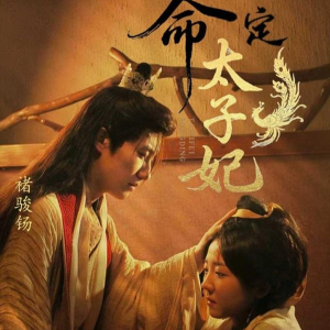命定太子妃(63集) 命定太子妃(63集)精彩的短剧
