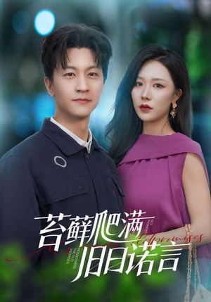 情途难负（83集）一口气看完全集