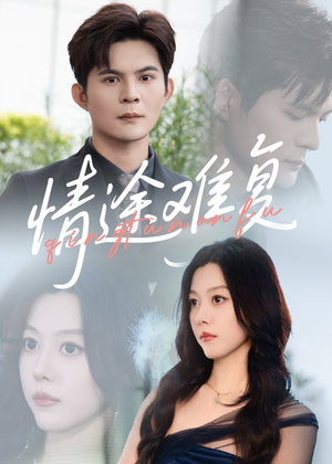 情途难复（50集）精彩短剧看全集