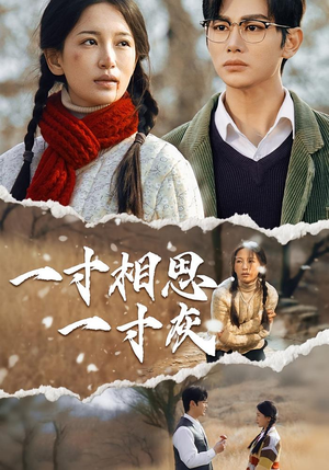 一寸相思一寸灰(43集) 一寸相思一寸灰(43集)分享热门短剧
