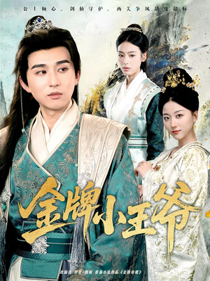 金牌小王爷(80集) 金牌小王爷(80集)全集我都看完了