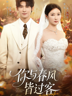 你与春风皆过客（66集）精彩短剧随心推