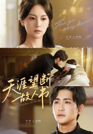 天涯望断故人书(60集) 天涯望断故人书(60集)在线观看全集