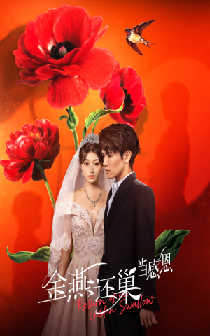 金燕还巢当感恩（55集）最火爆短剧