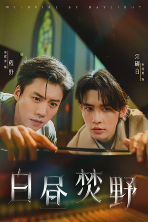 白昼焚野（70集）真的好看吗