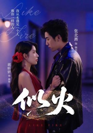 似火(80集) 似火(80集)超甜短剧分享