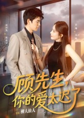 顾先生你的爱太迟了（60集）热门短剧看不停
