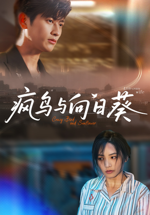 疯鸟与向日葵(40集) 疯鸟与向日葵(40集)免费观看