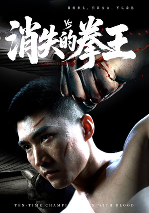 消失的拳王(72集) 消失的拳王(72集)高清无码免费看