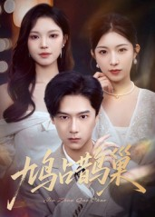 鸠占鹊巢&顶流夫人的致命陷阱（70集）热播短剧推荐