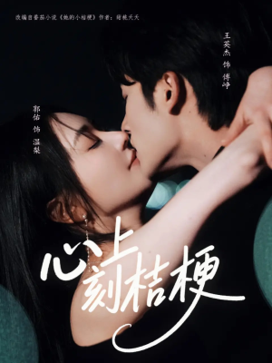 心上刻桔梗（90集）精彩短剧热播中