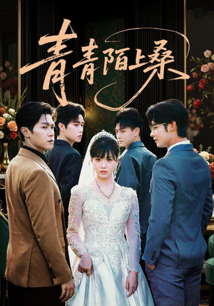 青青陌上桑（70集）超好看的短剧