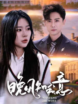 晚风知我意（50集）哪个网站可以看