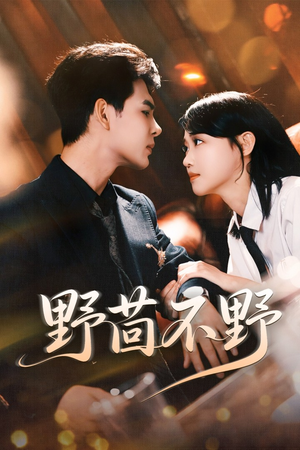 野茴不野(67集) 野茴不野(67集)短视频追剧推荐