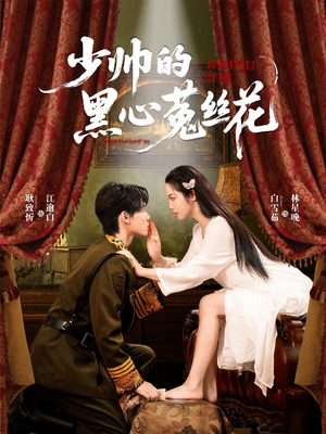 少帅的黑心菟丝花（60集）短剧解说全集