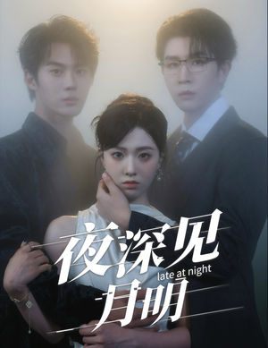夜深见月明(50集) 夜深见月明(50集)每日短剧推荐