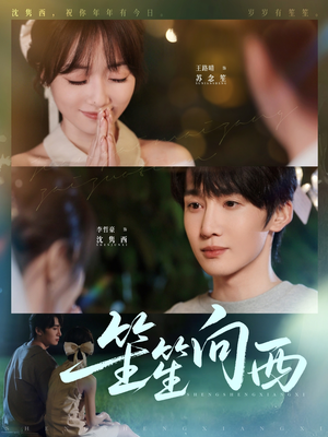 笙笙向西（75集）视频在线看