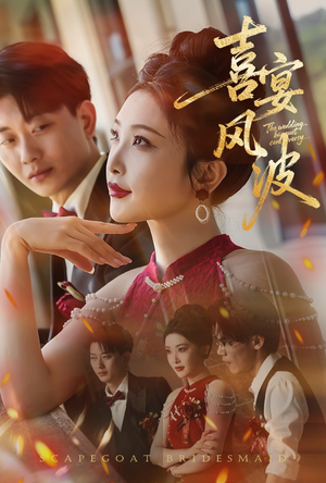 喜宴风波&替罪伴娘（30集）短剧上热门