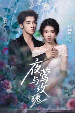 夜莺与玫瑰（66集）短剧精彩推荐