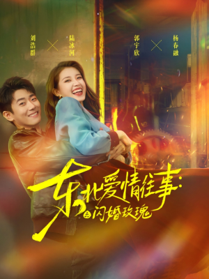 东北爱情往事闪婚玫瑰（89集）全集免费