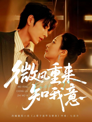 微风重来知我意（62集）最新热剧免费看