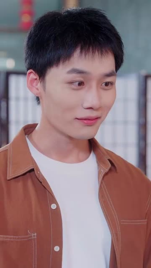 都市一品傻婿 (96集)在线看