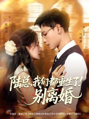 陆总我们都重生了别离婚（79集）最热短剧抢先看