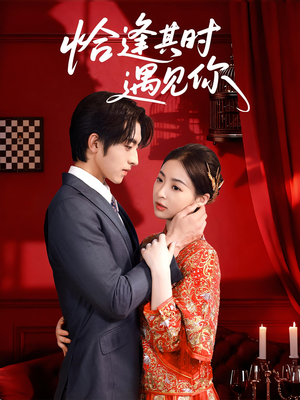 恰逢其时遇见你（60集）免费看全网短剧