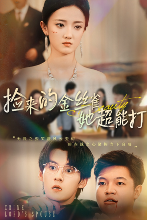捡来的金丝雀她超能打&和小娇夫领证后夫人她不装了（65级）全剧看到大结局