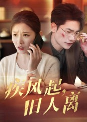 疾风起旧人离(32集) 疾风起旧人离(32集)热门了短剧