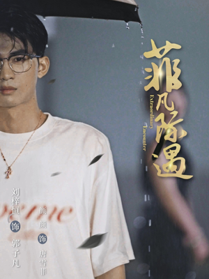 菲凡际遇(100集) 菲凡际遇(100集)大结局完美收官