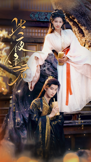 此夜逢君(76集) 此夜逢君(76集)女主谁演的