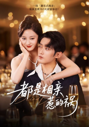 都是相亲惹的祸（72集）最后的大结局