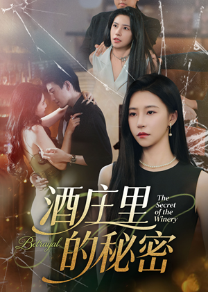 酒庄里的秘密(54集) 酒庄里的秘密(54集)免费在线看