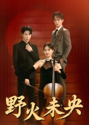 野火未央(40集) 野火未央(40集)在哪个平台看