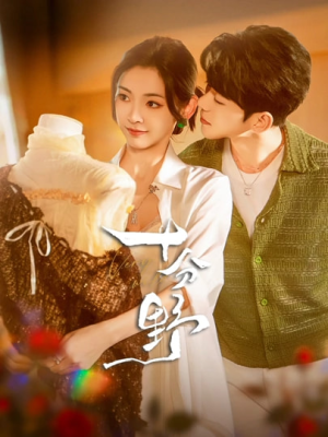 十分野（73集）短剧有好货推荐