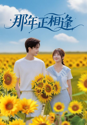 那年正相逢（60集）短剧太精彩