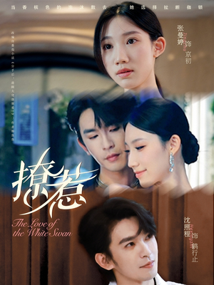 撩惹（80集）好看上头短剧