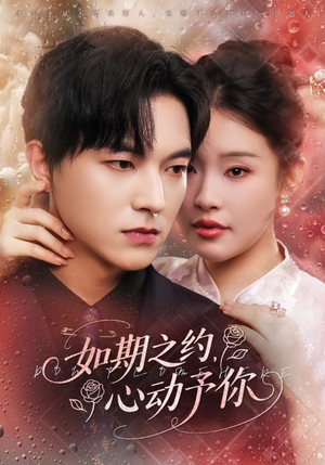 如期之约心动予你（82集）抢先看热门短剧