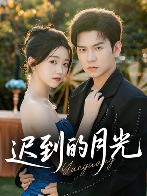 迟到的月光(80集) 迟到的月光(80集)解说