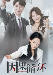 因果循环（45集）评价怎么样