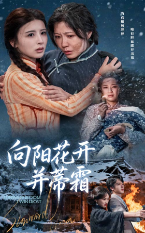 向阳花开并蒂霜（60集）热门短剧推广
