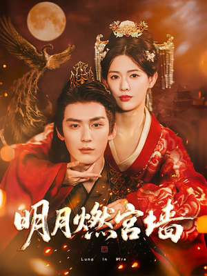 明月燃宫墙(60集) 明月燃宫墙(60集)在哪里可以全集