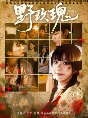 野玫瑰(82集) 野玫瑰(82集)精彩不断免费看