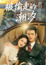 被偷走的潮汐（60集）每日短剧推荐