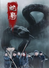 蛇影（25集）独家资源免费看