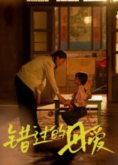 错过的母爱(32集) 错过的母爱(32集)口碑爆棚免费看