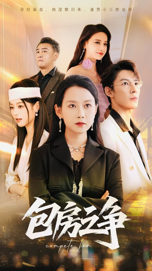 包房之争（50集）第32集